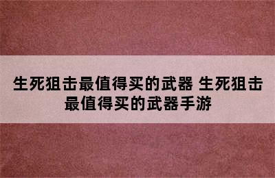 生死狙击最值得买的武器 生死狙击最值得买的武器手游